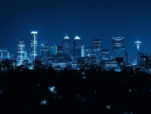Calgary MMA rising scene